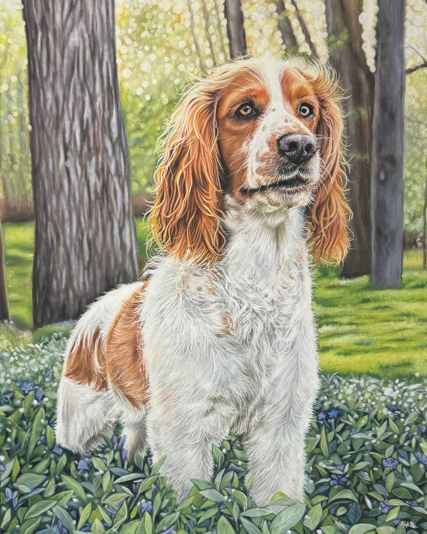 Custom Pastel Pet Portrait Drawing