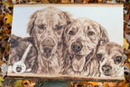 Custom Wood-Burned Pet Portrait