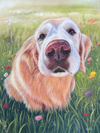 Custom Pastel Pet Portrait Drawing