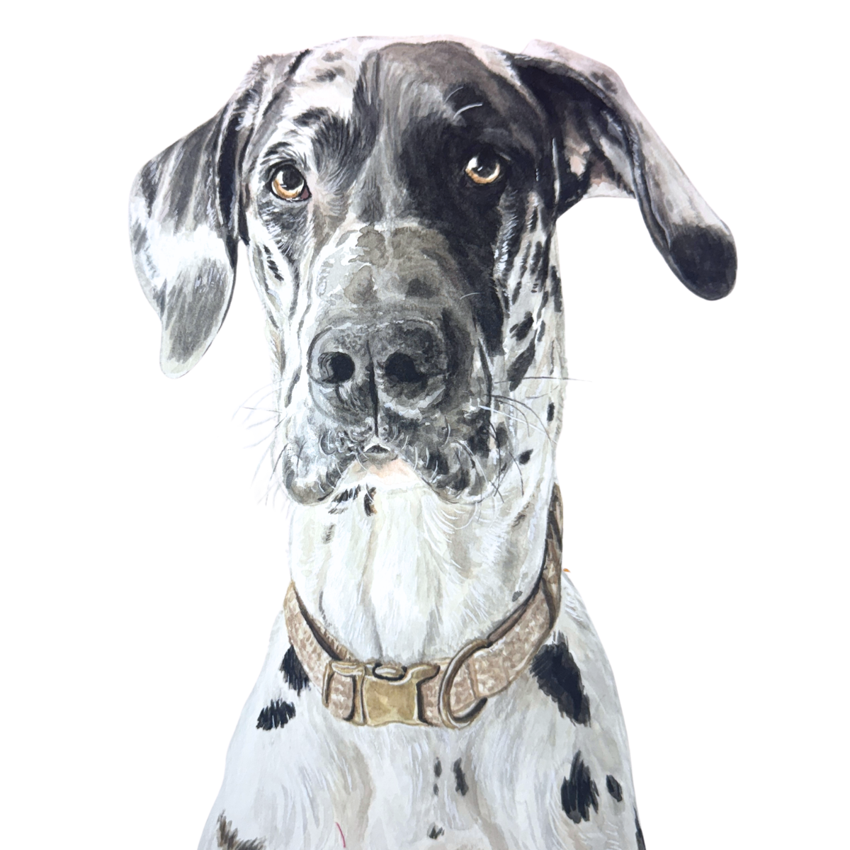 Custom Watercolor Pet Portrait
